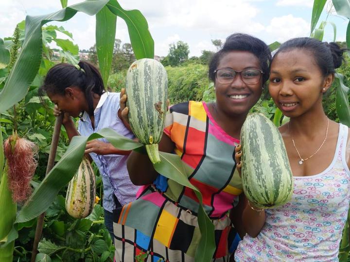 Das Projekt Grüne Gurke in Madagaskar