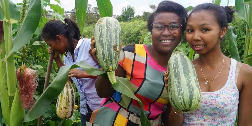 Das Projekt Grüne Gurke in Madagaskar