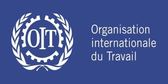 organisation_inter_du_w-600x300