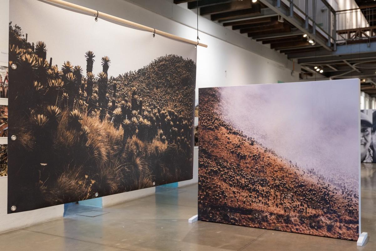 Kolumbienreise im Januar 2026 von Fotograf Benedikt Ernst sowie Oliver Bühl, Vorstandsmitglied des Diözesanrates der Katholik*innen im Bistum Aachen