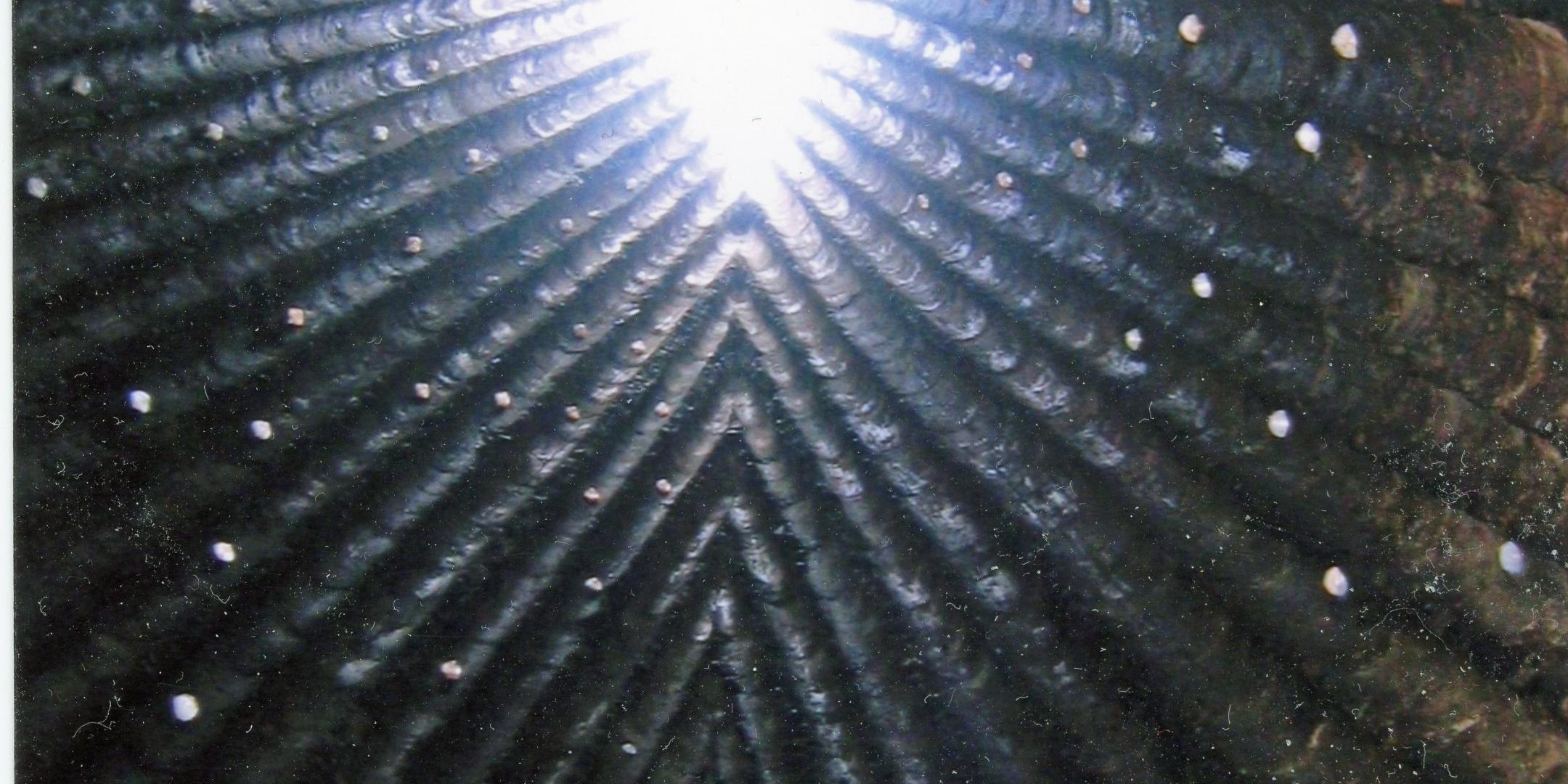 Bruder-Klaus-Kapelle