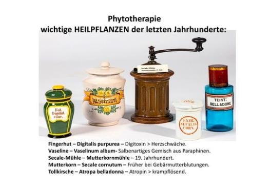Heilpflanzen