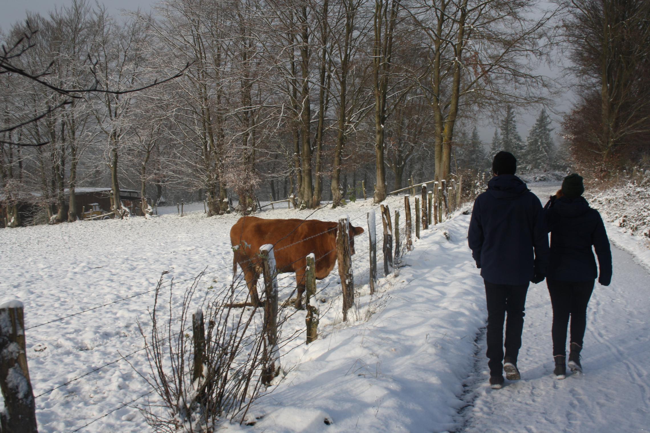 Adventswochenende 2017
