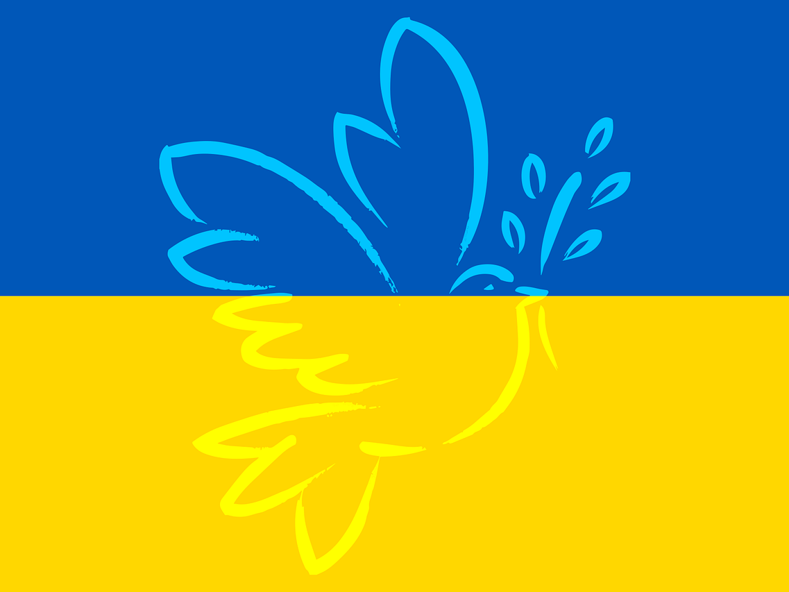Ehrenamtliche Helfer/innen zur Unterstützung von begleiteten und unbegleiteten geflüchteten Menschen aus der Ukraine gesucht (c) www.pixabay.com